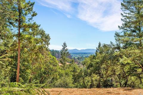 1240 Emerald Ranch Rd, Healdsburg, CA 95448 photo 13