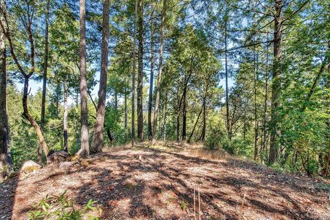 1240 Emerald Ranch Rd, Healdsburg, CA 95448 photo 15