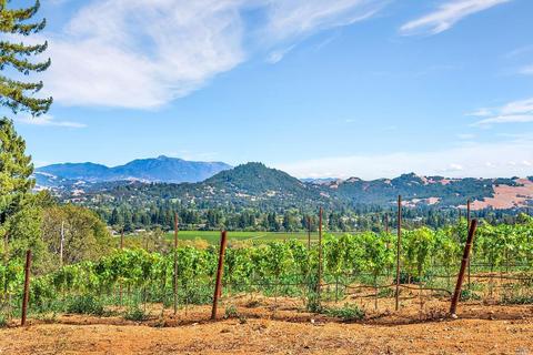 1240 Emerald Ranch Rd, Healdsburg, CA 95448 photo 30