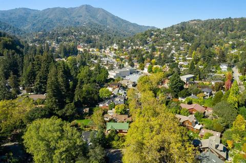44 Sycamore Ave, Mill Valley, CA 94941 photo 50