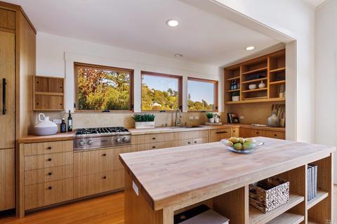 18 Bayview Ave, Mill Valley, CA 94941 photo 10