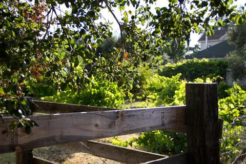 196 E Spain St, Sonoma, CA 95476 photo 17
