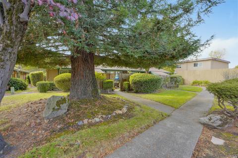 221 Lincoln Ave, Cotati, CA 94931 photo 28
