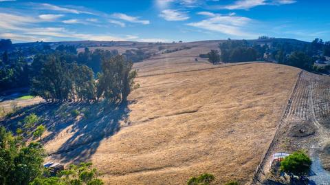 520 Eucalyptus Rd, Petaluma, CA 94952 photo 27