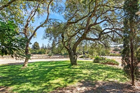 520 Eucalyptus Rd, Petaluma, CA 94952 photo 18