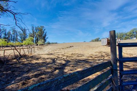 520 Eucalyptus Rd, Petaluma, CA 94952 photo 24