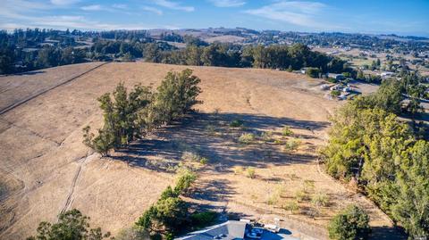 520 Eucalyptus Rd, Petaluma, CA 94952 photo 28