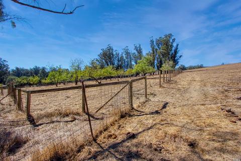 520 Eucalyptus Rd, Petaluma, CA 94952 photo 25