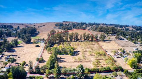520 Eucalyptus Rd, Petaluma, CA 94952 photo 3