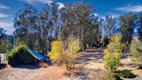 520 Eucalyptus Rd, Petaluma, CA 94952 photo 21