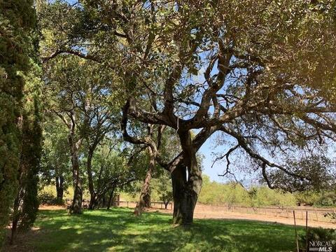 520 Eucalyptus Rd, Petaluma, CA 94952 photo 33