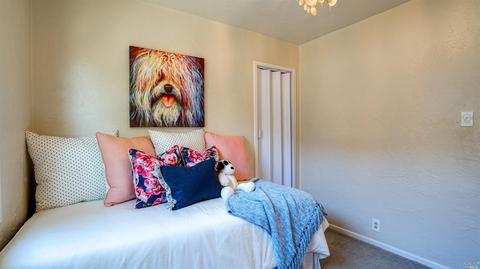 33 Payran St, Petaluma, CA 94952 photo 25