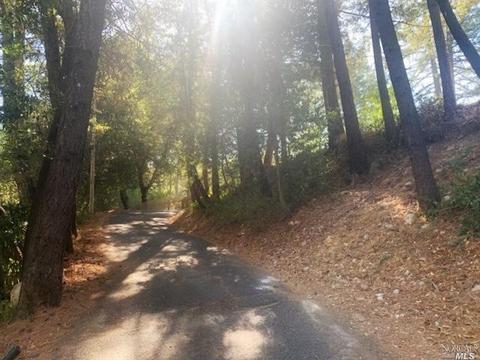 140 Cold Springs Rd, Angwin, CA 94508 photo 3
