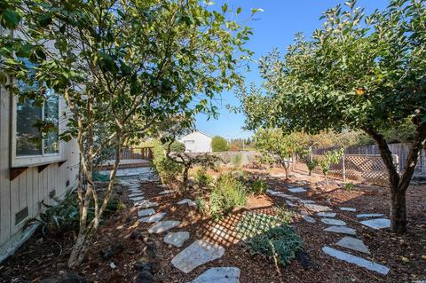 204 Skilling Ct, Cotati, CA 94931 photo 20