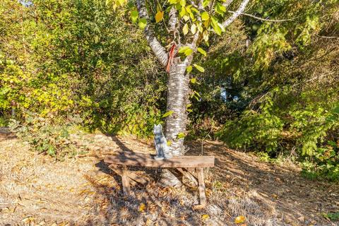 27155 Oriole Dr, Willits, CA 95490 photo 22