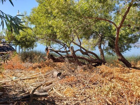 11409 Lakeshore Dr, Clearlake, CA 95422 photo 3