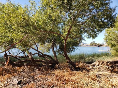 11409 Lakeshore Dr, Clearlake, CA 95422 photo 2