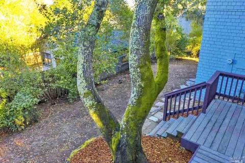 141 Hill Path, Corte Madera, CA 94925 photo 37