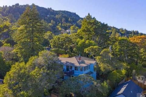 141 Hill Path, Corte Madera, CA 94925 photo 42