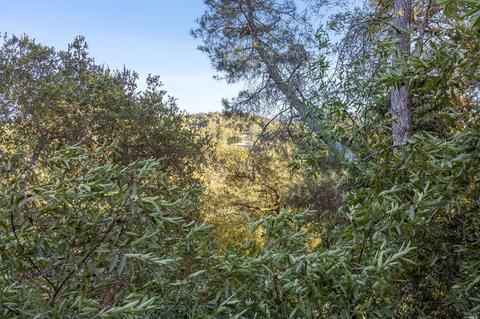 11 Pine Dr, Fairfax, CA 94930 photo 38