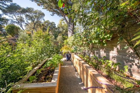 409 Magee Ave, Mill Valley, CA 94941 photo 41