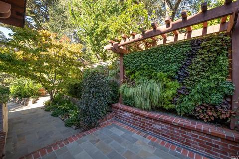 409 Magee Ave, Mill Valley, CA 94941 photo 39