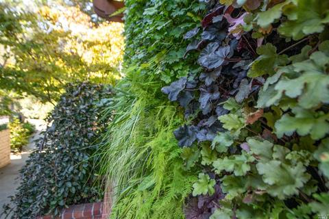 409 Magee Ave, Mill Valley, CA 94941 photo 40