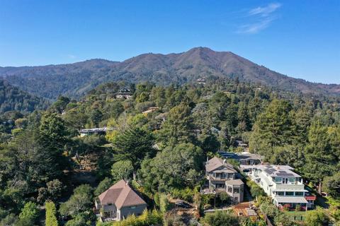 409 Magee Ave, Mill Valley, CA 94941 photo 48