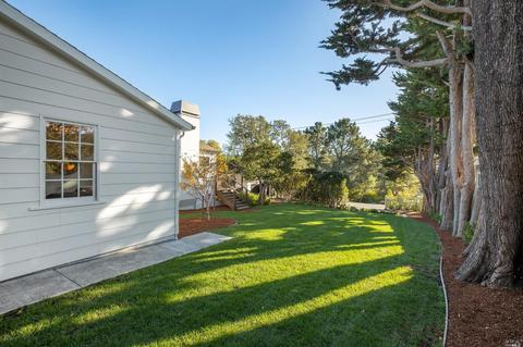 377 Molino Ave, Mill Valley, CA 94941 photo 41