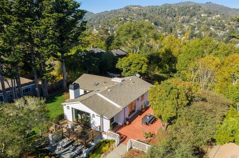 377 Molino Ave, Mill Valley, CA 94941 photo 47