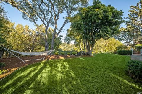 377 Molino Ave, Mill Valley, CA 94941 photo 42