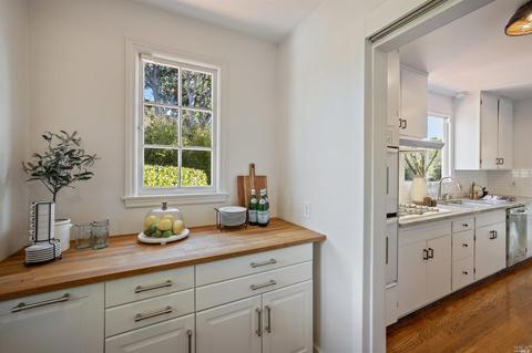 377 Molino Ave, Mill Valley, CA 94941 photo 24