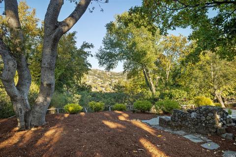 377 Molino Ave, Mill Valley, CA 94941 photo 46