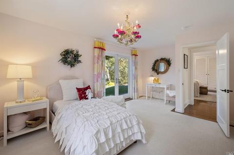 377 Molino Ave, Mill Valley, CA 94941 photo 35