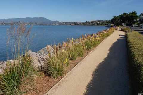 10 Pine Ter, Tiburon, CA 94920 photo 25