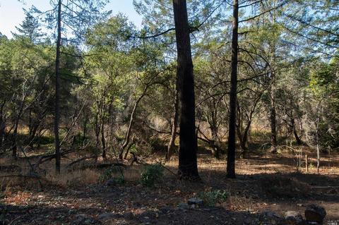 4475 Trinity Rd, Glen Ellen, CA 95442 photo 17