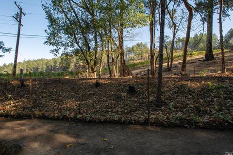 4475 Trinity Rd, Glen Ellen, CA 95442 photo 6
