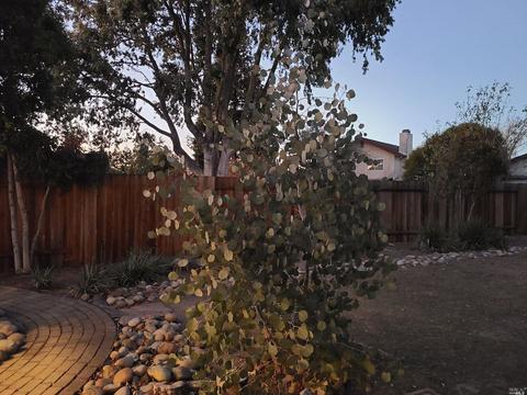356 Robles Way, Vallejo, CA 94591 photo 22