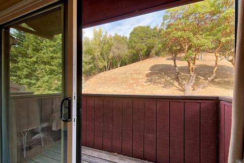 26 Deuce Ct, Fairfax, CA 94930 photo 15