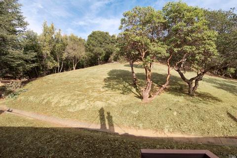 26 Deuce Ct, Fairfax, CA 94930 photo 16