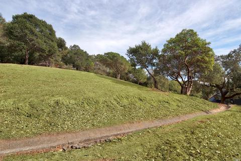26 Deuce Ct, Fairfax, CA 94930 photo 6
