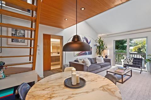 705 Miller Ave, Mill Valley, CA 94941 photo 26
