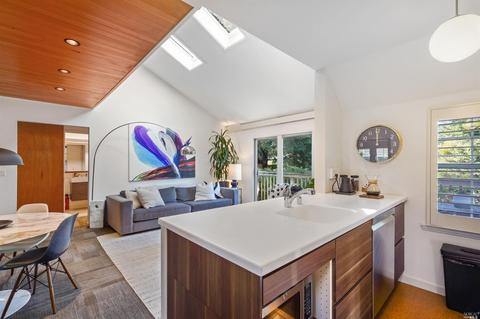 705 Miller Ave, Mill Valley, CA 94941 photo 10