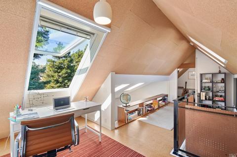 705 Miller Ave, Mill Valley, CA 94941 photo 20