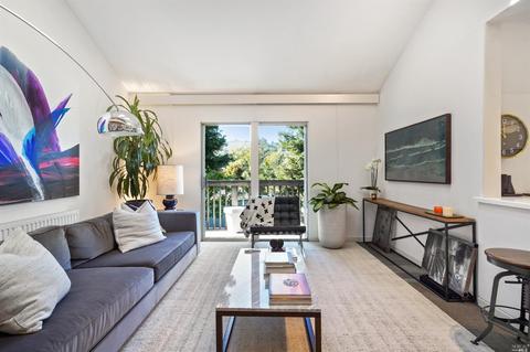 705 Miller Ave, Mill Valley, CA 94941 photo 5