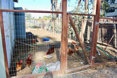 5175 Maple Rd, Vacaville, CA 95687 photo 34