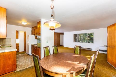 20 Springhill Dr, Cazadero, CA 95421 photo 10
