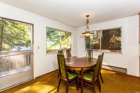 20 Springhill Dr, Cazadero, CA 95421 photo 9