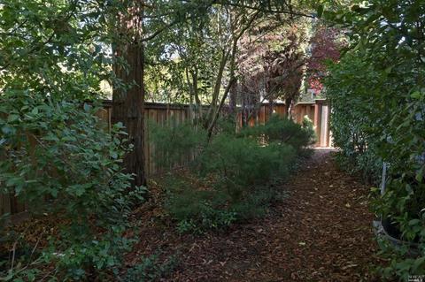 1857 Wright St, Santa Rosa, CA 95404 photo 14