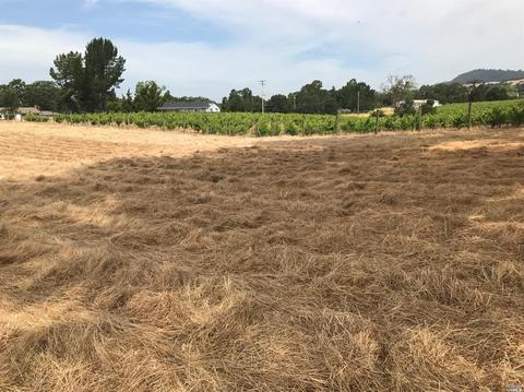 795 Red Tail Rd, Healdsburg, CA 95448 photo 2